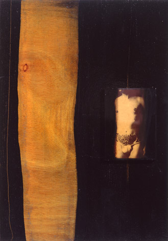 Sans titre. Untitled / Vernis, photo et verre sur bois. Varnish,photo and glass on wood. <br />
32x27cm. 1998