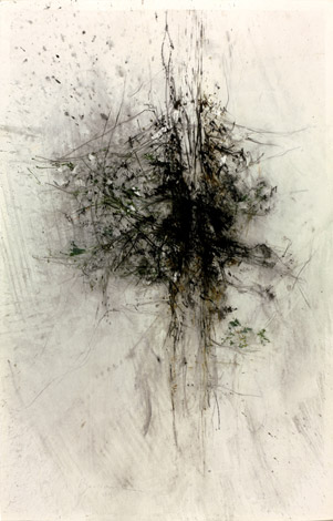 Arbre. Tree / Tempera sur papier. Tempera on paper. 102x66cm. 2009