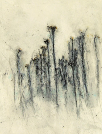 Friche. Fallow land / Tempera sur toile. Tempera on canvas. 116x89cm. 2010