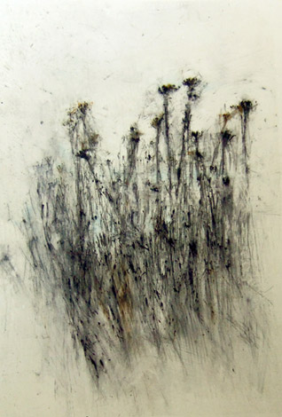 Friche. Fallow land / Tempera sur toile. Tempera on canvas. 146x97cm. 2010