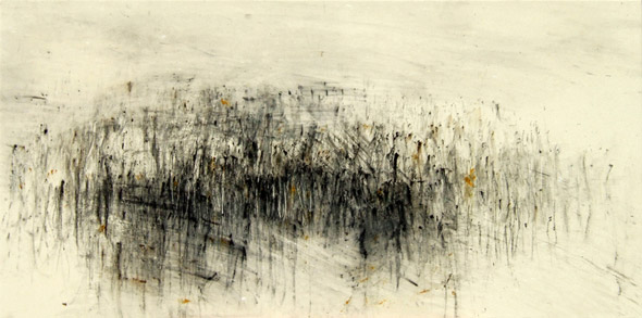 Friche. Fallow land / Tempera sur toile. Tempera on canvas. 50x100cm. 2010