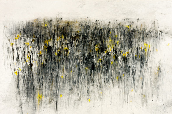 Friche. Fallow land / Tempera sur toile. Tempera on canvas. 54x81cm. 2010
