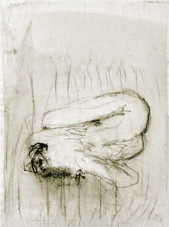 Nu. Nude / Rottring et tempera sur calque. Rottring and tempera on tracing paper. 32x24 cm. 2011