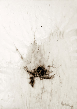 Oiseau. Bird / Rottring et tempera sur calque. Rottring and tempera on tracing paper. <br />
21x29,7 cm. 2011