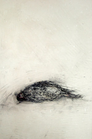 Oiseau. Bird / Tempera sur toile. Tempera on canvas. 37x27 cm. 2010