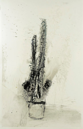 Cactus / Encre de chine, rotring et tempera sur papier. Indian ink, rotring, tempera on paper. <br />
102x66 cm. 2011