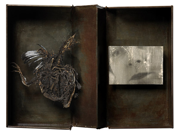 « J'ai encore trouvé un oiseau mort aujourd'hui » #1 - « Again today, I found a dead bird ». #1 - Boite metal verni, <br />
squelette d'oiseau et photo - Varnished metal  box, a skeleton of bird and photo. 21,5x28,5 cm. 2011