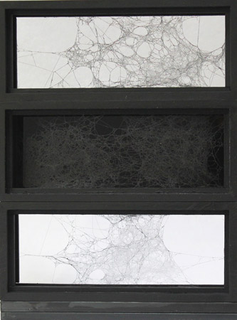 Opuscule 2 / Bois peint, fils métal et toile d'araignée - <br />
Painted wood, metal wire and spider web. 30 x 22,3 x 4,3 cm. 2013