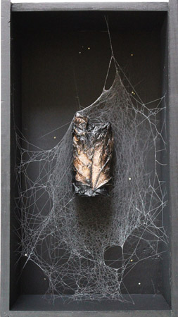 Jardin d'automne - Automn garden / Bois peint, feuille vernie, toile d'araignée - <br />
Painted wood, varnished leave, spider web. 33 x 18 x 9,5 cm. 2012