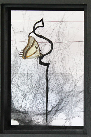 Charaxes jasius / Bois naturel peint, papillon serti et verni, branche et toile d'araignée - Natural <br />
painted wood, butterfly crimped and varnished, branch and spider web. 24 x 16,5 x 10 cm. 2014